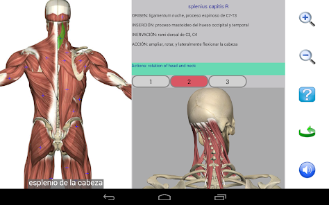 Captura 18 Visual Anatomy Lite android