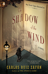 Obraz ikony: The Shadow of the Wind