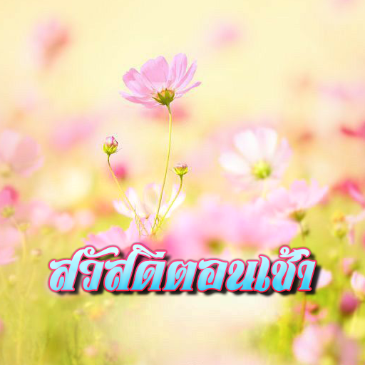 สวัสดีตอนเช้า ตามวัน