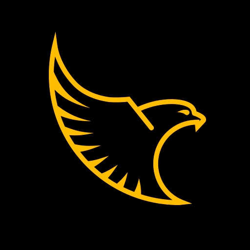 Ziņo KNAB! logo