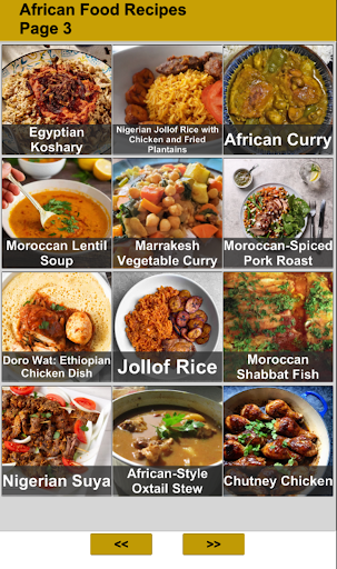 African Food Recipes Screen 3