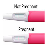Pregnancy test & signs guide
