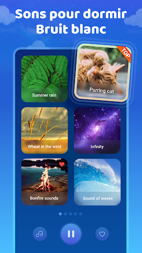 Aperçu de l'application