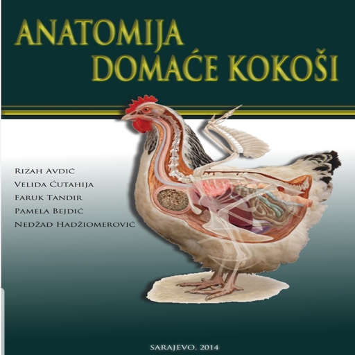 Anatomy of Hen kokos book logo