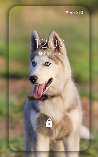 Husky wallpaper Screen 3