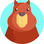 Cover Image of Download Raise A Capybara  APK