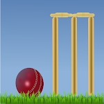 Cover Image of Download Twin Cricket Fun N Learning  APK