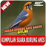 Cover Image of ดาวน์โหลด Kumpulan Suara Burung Anis Offline 1.0.1 APK