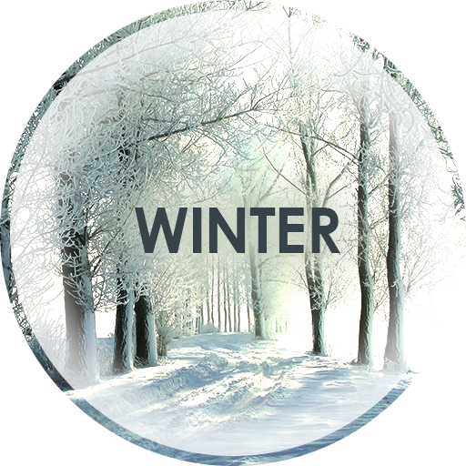 Winter Wallpapers in 4K logo