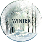 Winter Wallpapers in 4K icon