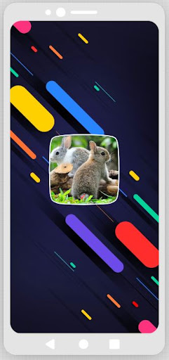 Android application Rabbit Sounds screenshort