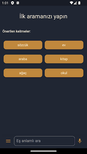 Android application Eşanlamlılar screenshort