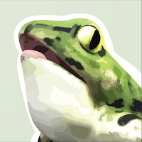 Anatomy Frog