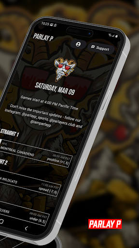 Parlay P Sports Newsletter Screen 3