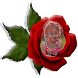 Red Rose Photo Montage icon