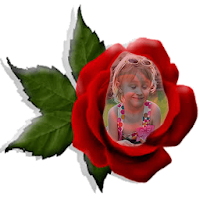 Red Rose Photo Montage