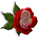 Red Rose Photo Montage - Androidアプリ