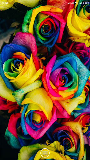 Rainbow Colour Wallpapers HD Screenshot 3 - AppWisp.com
