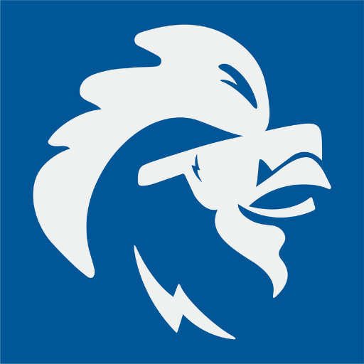 Chick N Max logo