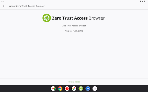 ZeroTrustAccess Secure Browser 17