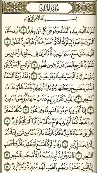 القرآن الكريم والتفسير ومعاني الكلمات وبحث