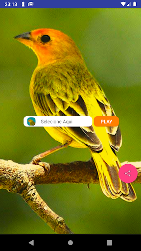 معاينة التطبيق