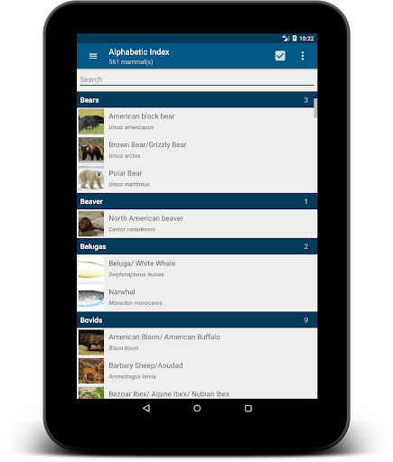 Stuarts North American Mammals Screenshot