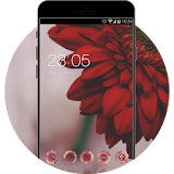 Red Flower Theme: Rose petals Live Wallpaper icon