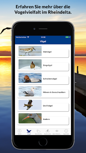 Birds Club Screen 2