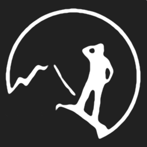 Next Ascent logo