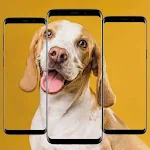 Cover Image of डाउनलोड Dogs Wallpapers,Background HD  APK
