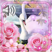 Roses and Swans Live Wallpaper  Icon