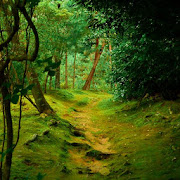 Jungle Sounds - Nature Forest Sound Ringtones