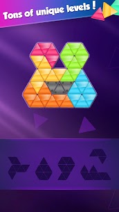 Block! Triangle Puzzle: Tangram Mod Apk 20.1203.09 (Mod Money) 4