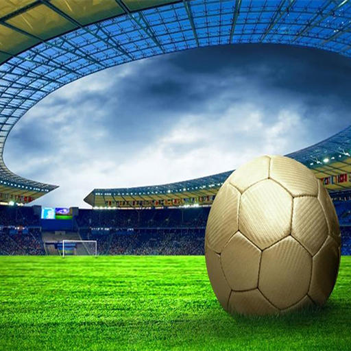 Stadiums in Qatar logo