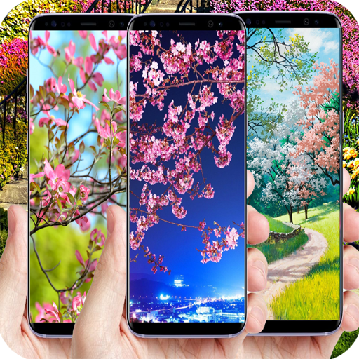 500+Blooming Tree Wallpaper Download on Windows