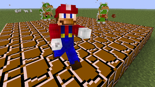 Mod Super Mario for Minecraft