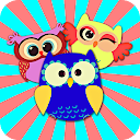 Crazy Owls Puzzle