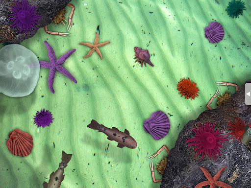 Sensory Worlds - US Screen 3
