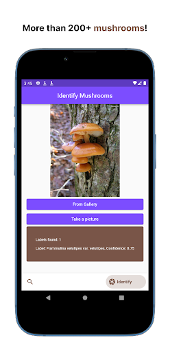 Shroom Identifier Screen 3