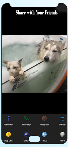 GIF maker GIF editor PHOTO T