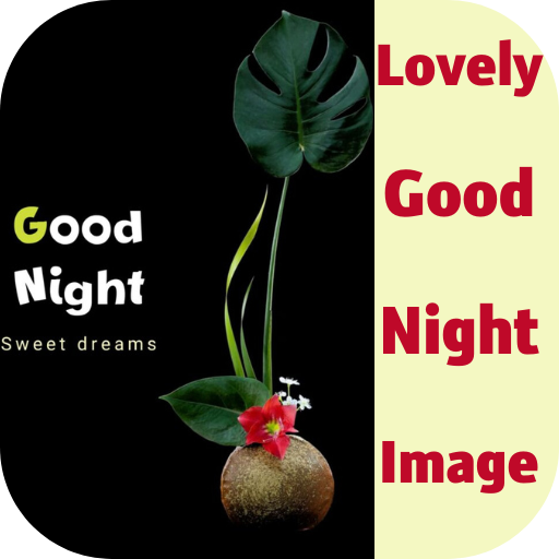 lovely good night image