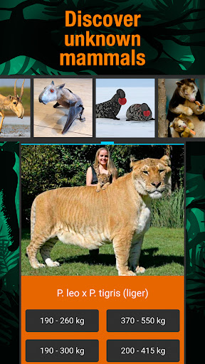 Animal weight Quiz - trivia Screen 3