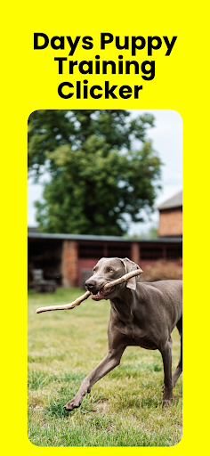 Days Puppy Training Clicker