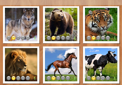 Kids Puzzles - Animals and Car