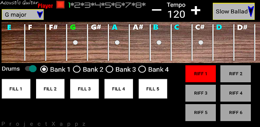 Acoustic Guitar Player Screen 2