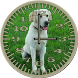Dog 3 Labrador Analog Clock icon