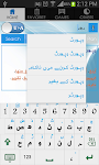screenshot of Urdu Arabic Dictionary