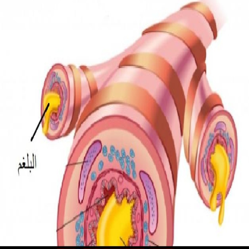 علاج البلغم بدون نت logo