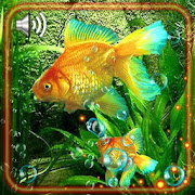 Aquarium Gold Fishes HD